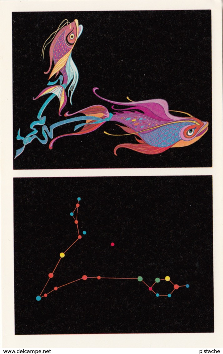 Astronomy - Pisces The Fish Constellation - Very Nice Illustration - Unused - VG Condition - 2 Scans - Astronomia