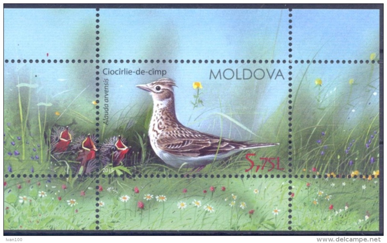 2015. Moldova, Birds Of Moldova, S/s, Mint/** - Moldova