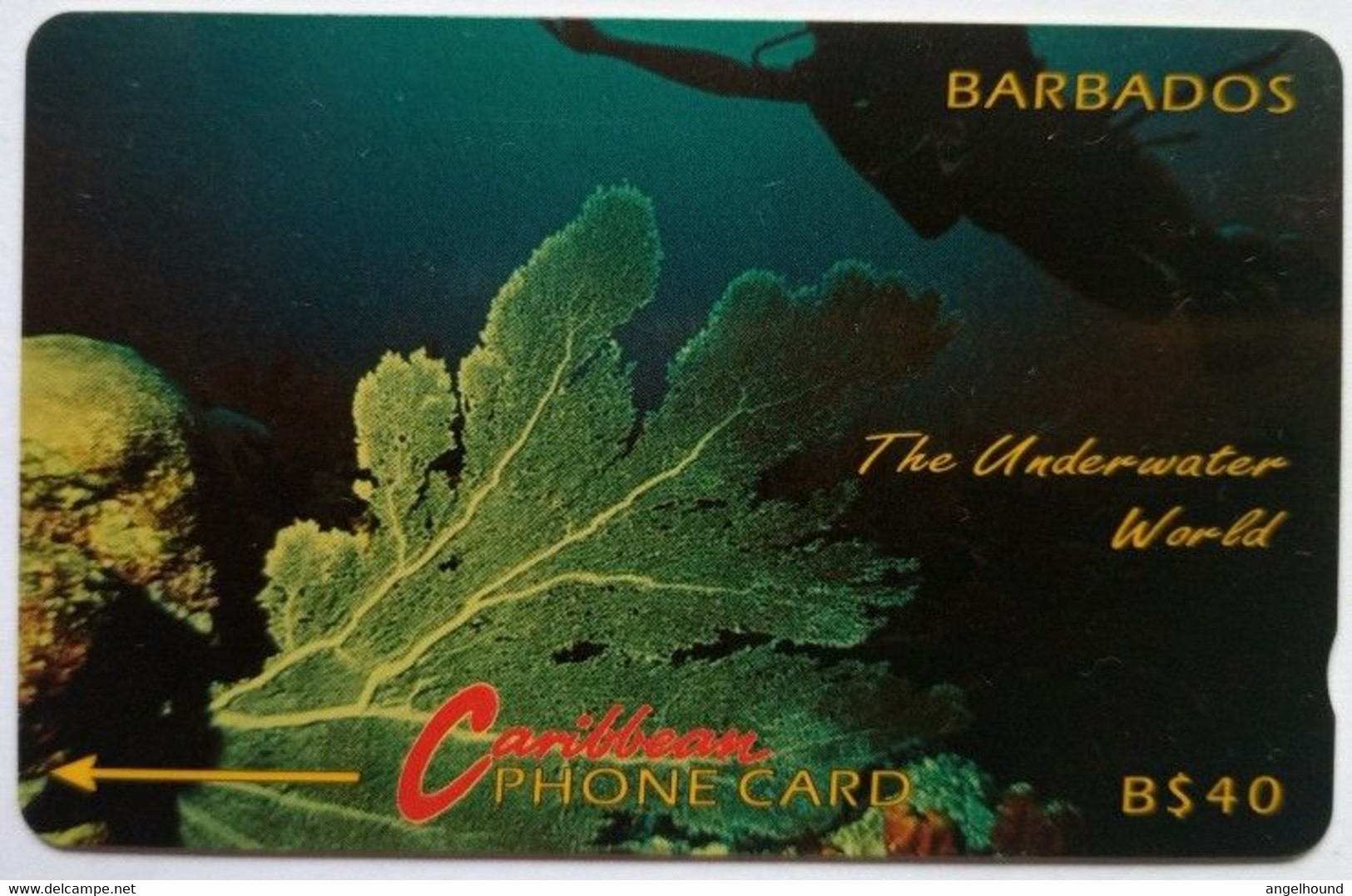 Barbados 5CBDC B$40 " Underwater (without Logo)" - Barbados