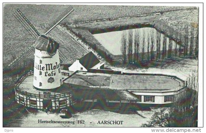 Aarschot  Witte Molen   Moulin - Aarschot