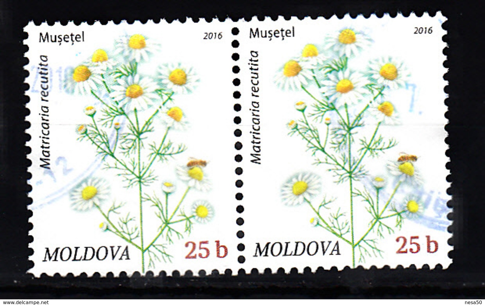 Moldavie 2016 Mi Nr 952: Bloemen, Flowers - Moldavië