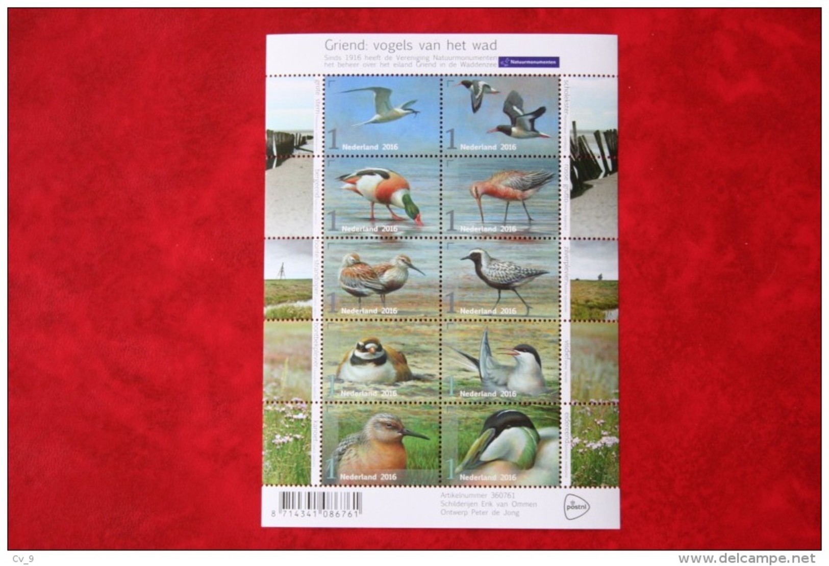 SHEET Fauna Birds Vogels Oiseaux Pajaros 2016 POSTFRIS MNH ** NEDERLAND / NIEDERLANDE / NETHERLANDS - Neufs