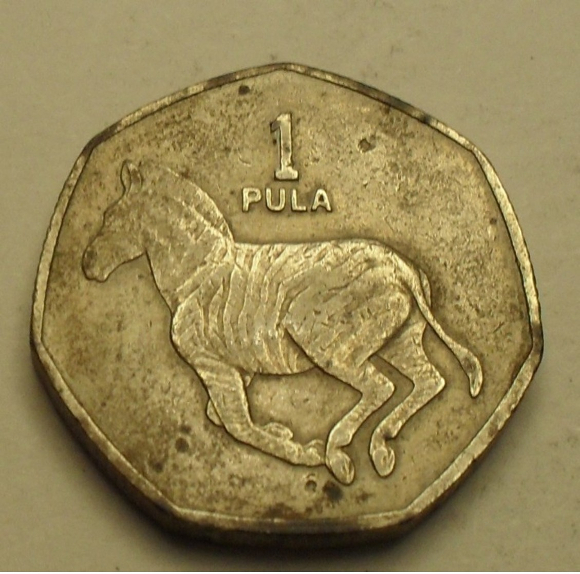 1991 - Botswana - 1 PULA - KM 24 - Botswana