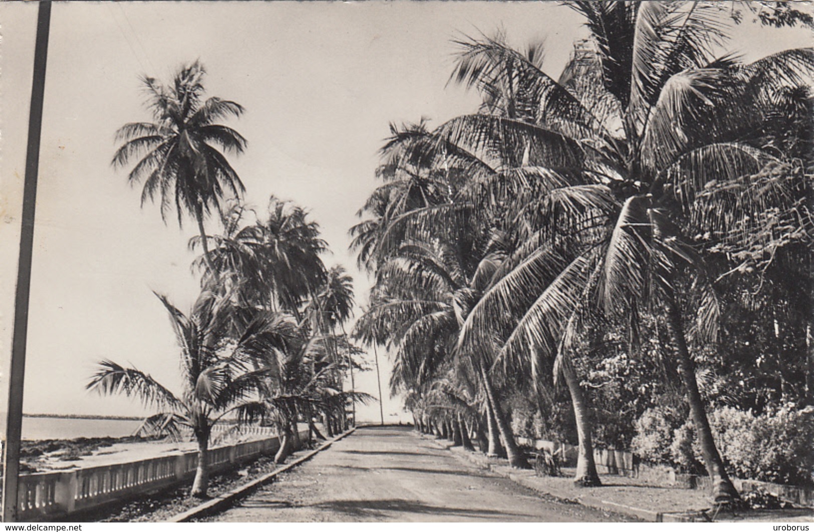 GUINEA - Conakry 1964 - La Corniche - Guinea