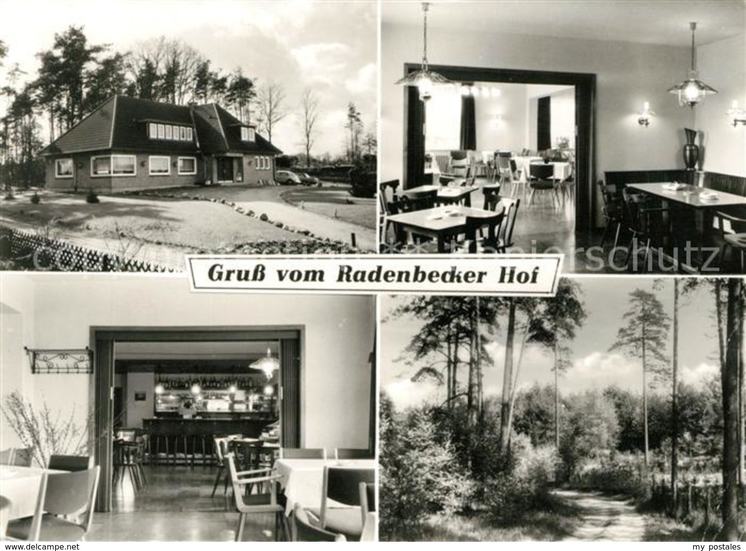 73101355 Radenbeck Wittingen Hotel Gasthaus Radenbecker Hof Radenbeck - Other & Unclassified