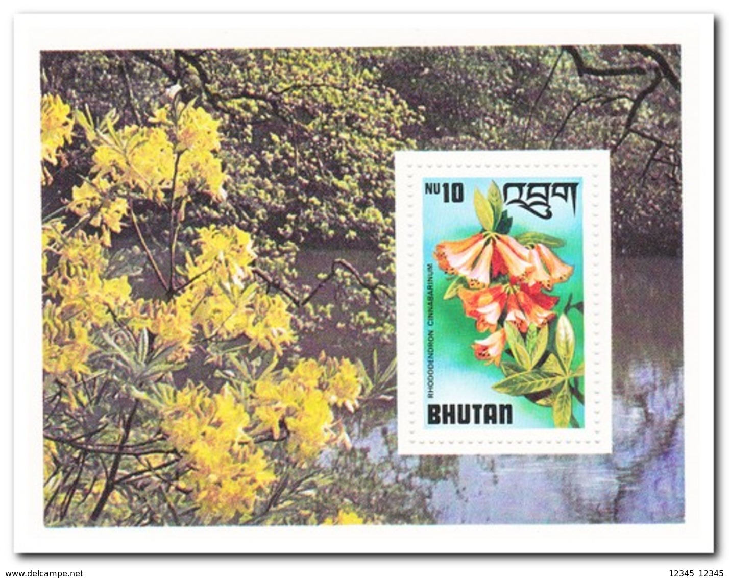 Bhutan 1976, Postfris MNH, Flowers - Bhutan