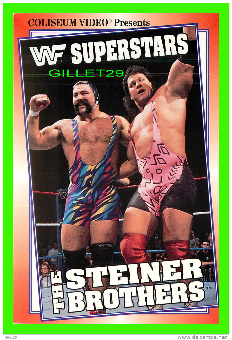 SPORTS, LUTTE - THE STEINER BROTHERS - WF SUPERSTARS -  1993 TITANSPORTS INC - - Lutte