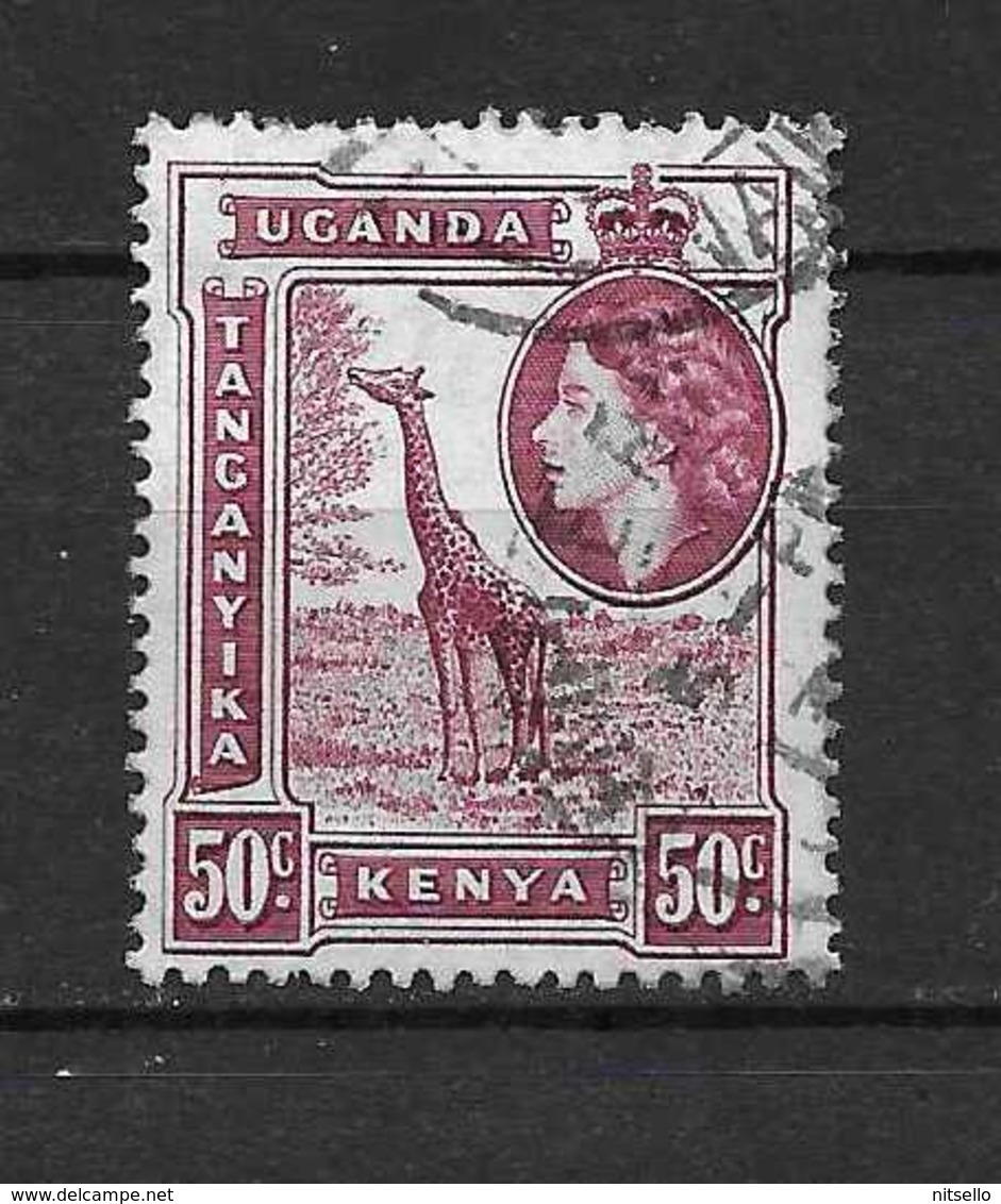 LOTE 2217  ///  COLONIAS INGLESAS    ¡¡¡¡ LIQUIDATION !!!! - Kenya, Ouganda & Tanganyika