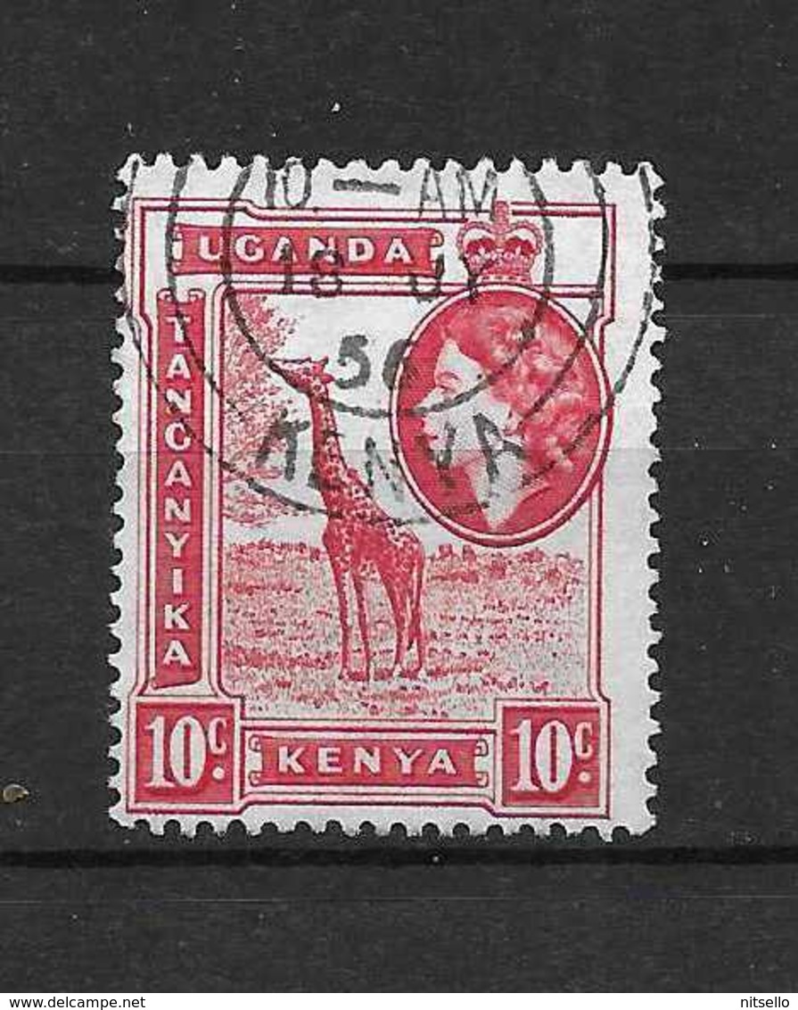 LOTE 2217  ///  COLONIAS INGLESAS    ¡¡¡¡ LIQUIDATION !!!! - Kenya, Oeganda & Tanganyika