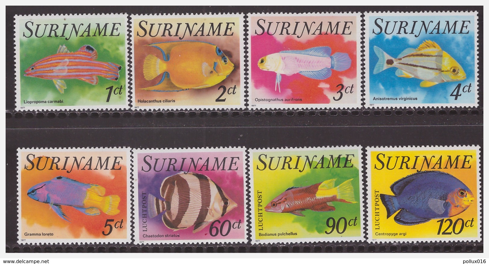 Surinam / Suriname 1977 Vissen Fisches Fischen Poisson MNH - Suriname