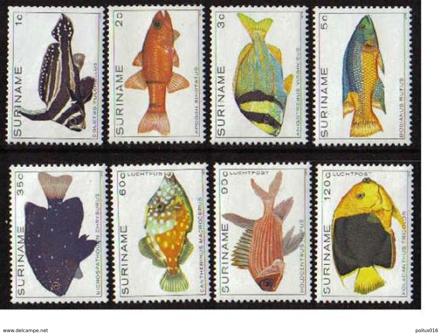 Surinam / Suriname 1979 Vissen Fishes Fischen Poisson MNH - Suriname