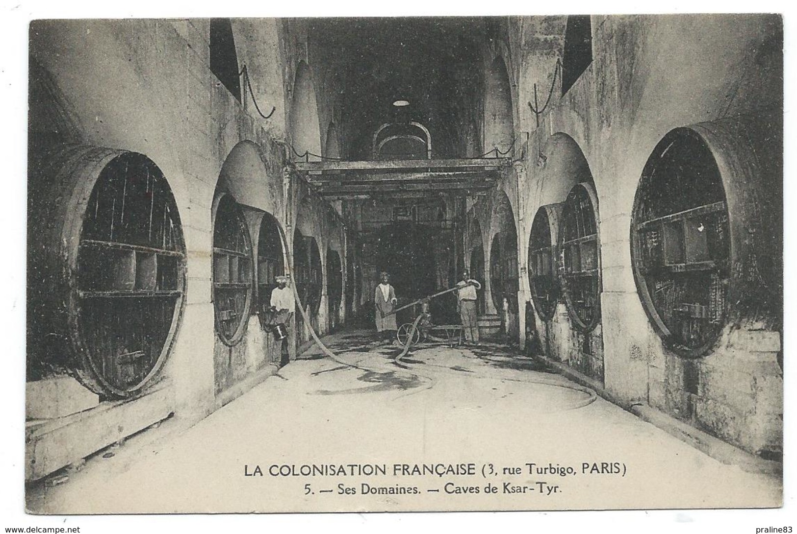 CPA - LA COLONISATION FRANCAISE (siege Rue Turbigo à Paris), SES DOMAINES, CAVES KSAR TYR - Tunisie - Animée - Vigne