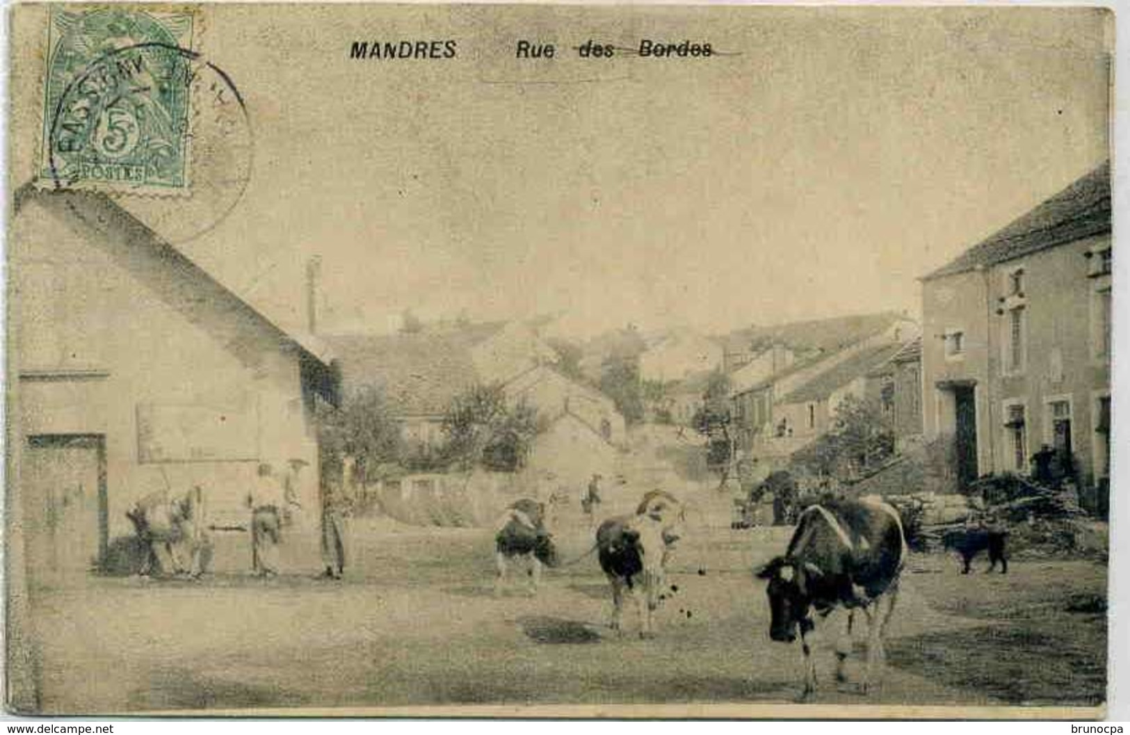 MANDRES  RUE DES BORDES , Vaches Abreuvoir - Autres & Non Classés