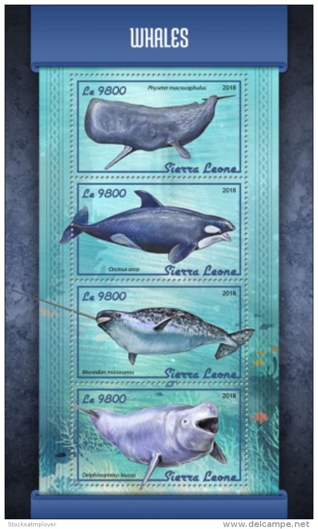 SIERRA LEONE 2018 Fish Marine Life  Whales S201803 - Sierra Leone (1961-...)