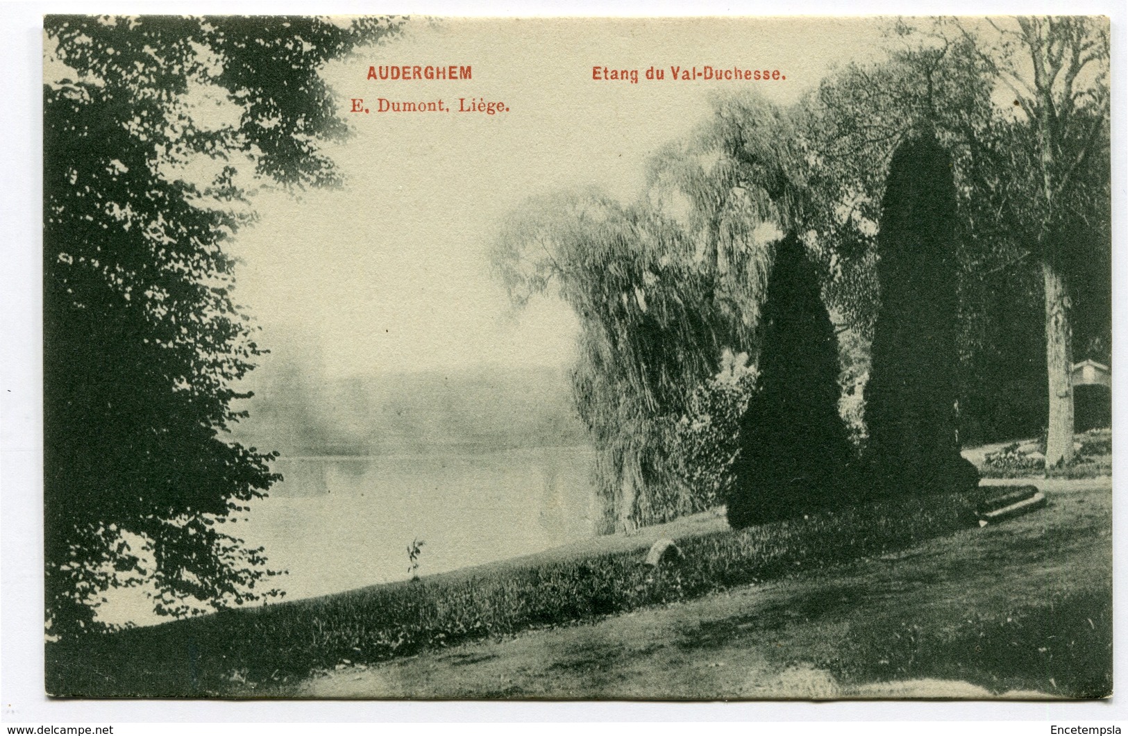 CPA - Carte Postale - Belgique - Bruxelles - Auderghem - Étang Du Val Duchesse - 1907  (CP2484) - Auderghem - Oudergem