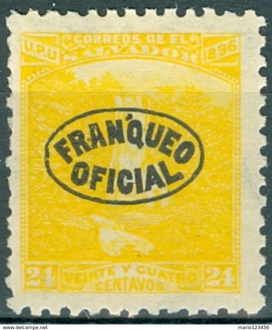 EL SALVADOR, PAESAGGI, LANDSCAPES, ATEHAUSILLA WATERFALL, UPU, 1897, FRANCOBOLLI NUOVI (MLH*),  Michel D58    Scott O87 - El Salvador