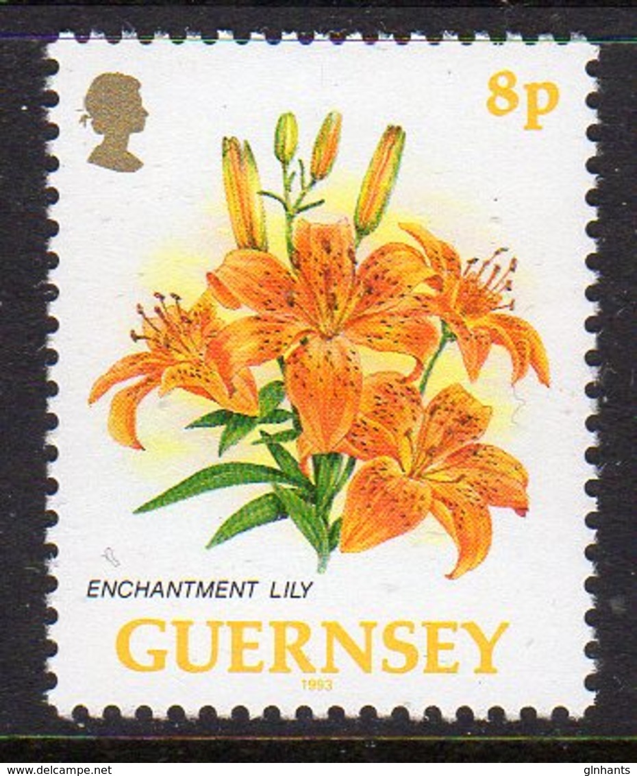 GUERNSEY - 1992-1997 DEFINITIVE FLOWERS 1993 8p STAMP FINE MNH ** SG 569 - Guernsey