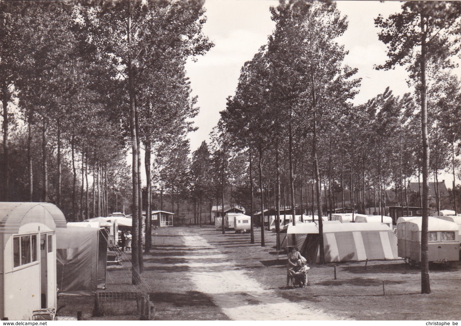 Berlare, Camping Dennebos (pk45919) - Berlare