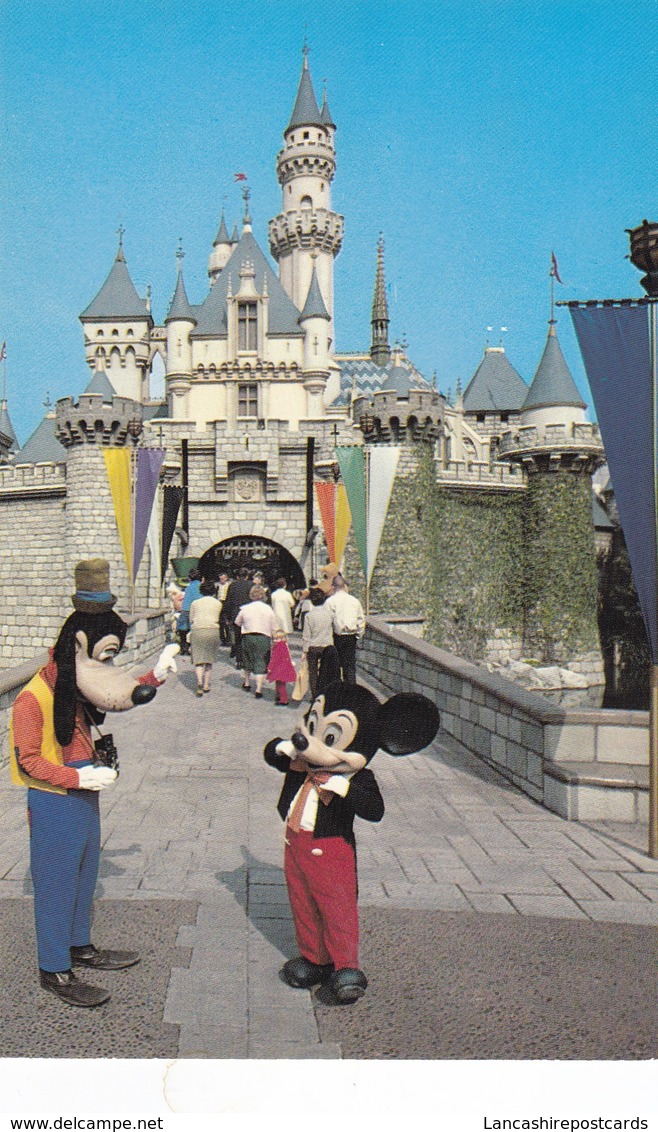 Postcard Mickey Mouse And Goofy Taking Pictures At Disneyland My Ref  B12064 - Disneyland