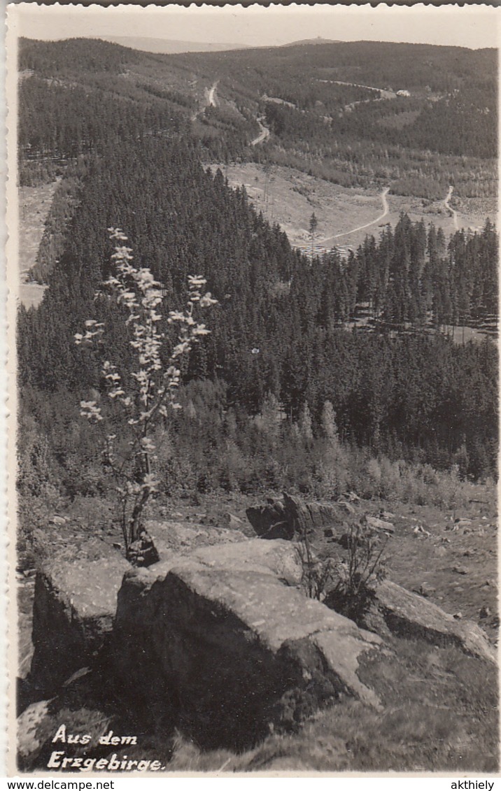 Aus Dem Erzgebirge Ak126588 - Sonstige & Ohne Zuordnung