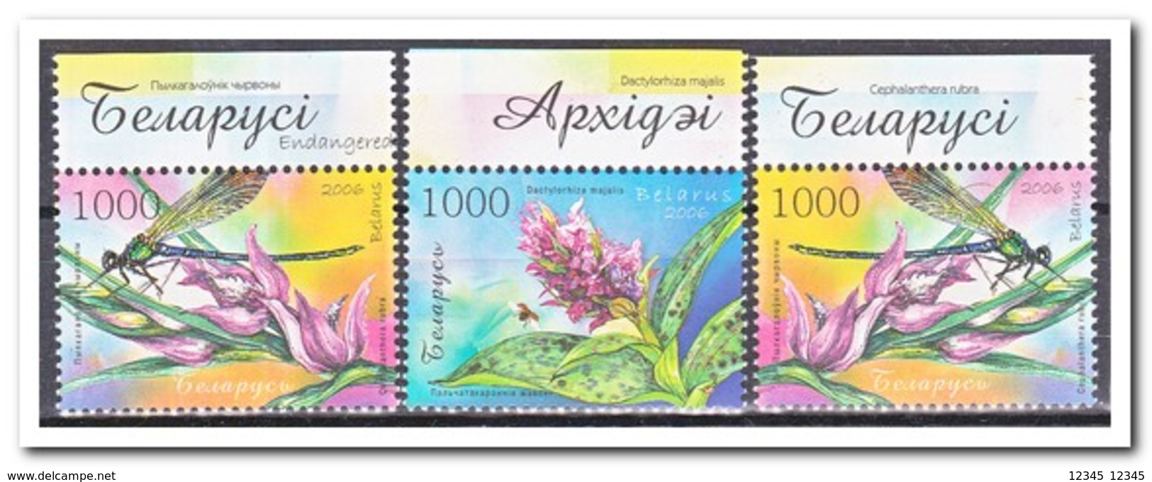 Wit Rusland 2006, Postfris MNH, Flowers, Insects - Wit-Rusland