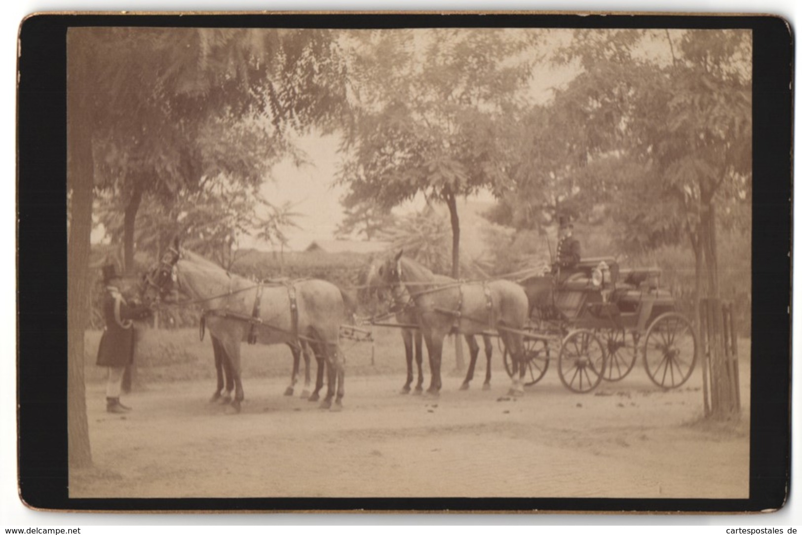 Photo Von Bayer, Motiv Der Kaiserlichen Attelage à Cheval, Vierspänner - Célébrités