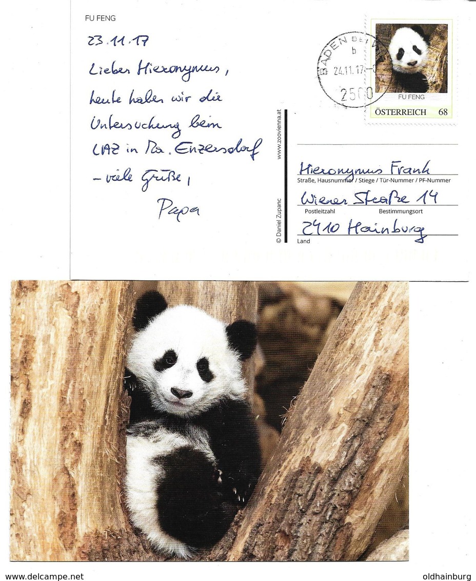 5002g: Fu Feng, Panda Aus Wien- Schönbrunn, Auf Bedarfspostkarte Mit Pers. Marke, 2500 Baden Bei Wien, 24.11.2017 - Ours