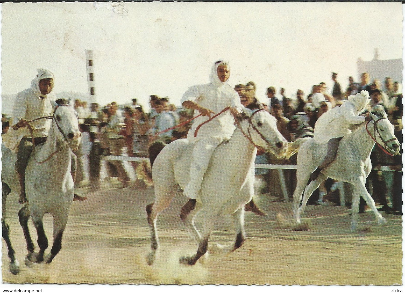 Bahrain - Horse Race - Rifa - Bahrain