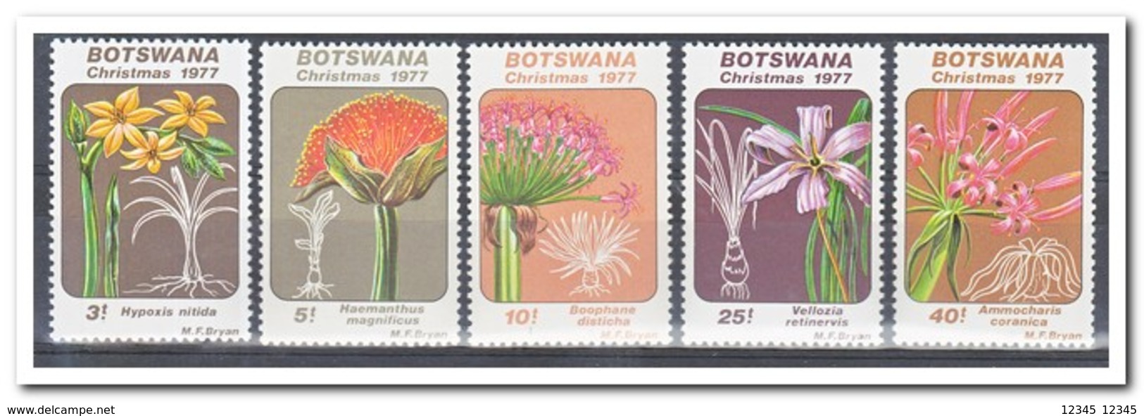 Botswana 1977, Postfris MNH, Flowers, Christmas - Botswana (1966-...)