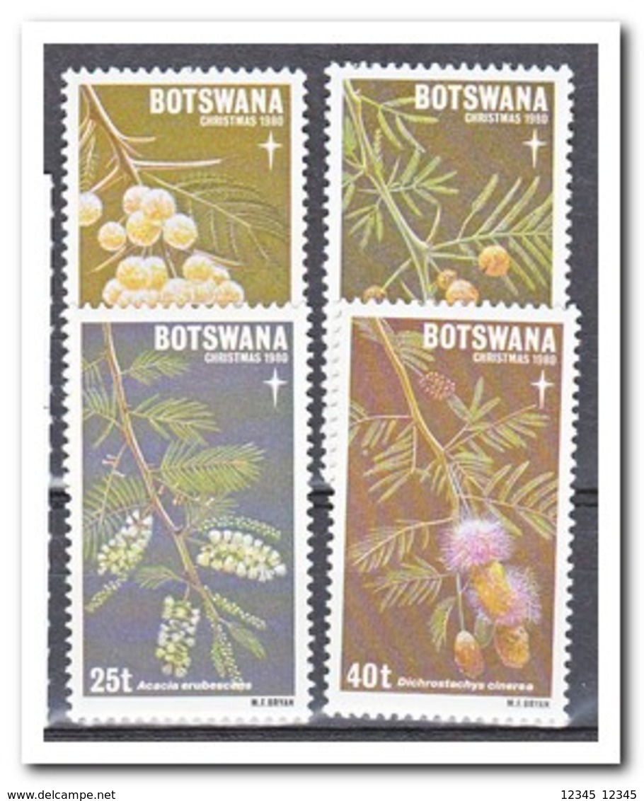 Botswana 1980, Postfris MNH, Plants, Christmas - Botswana (1966-...)