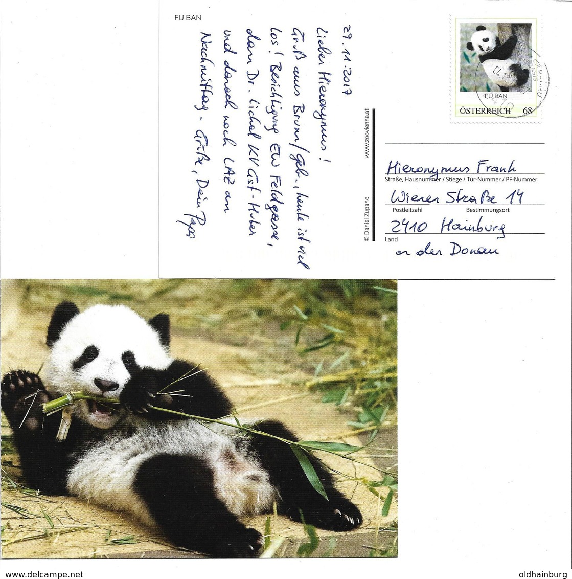 5002j: Fu Ban, Panda Aus Wien- Schönbrunn, Auf Bedarfspostkarte 2410 Hainburg- Zustellbasis, 4.12.2017 - Ours