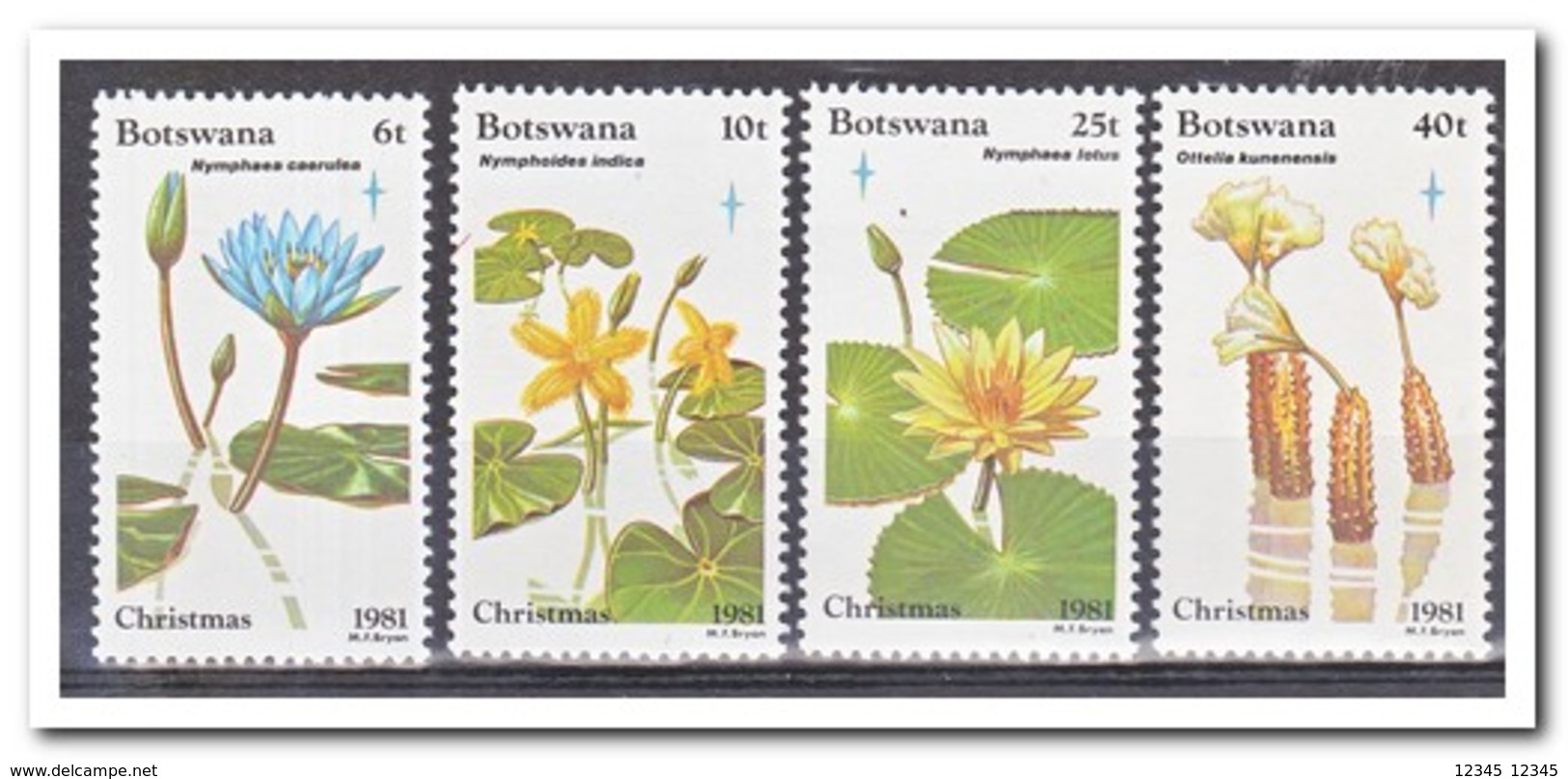 Botswana 1981, Postfris MNH, Flowers, Christmas - Botswana (1966-...)