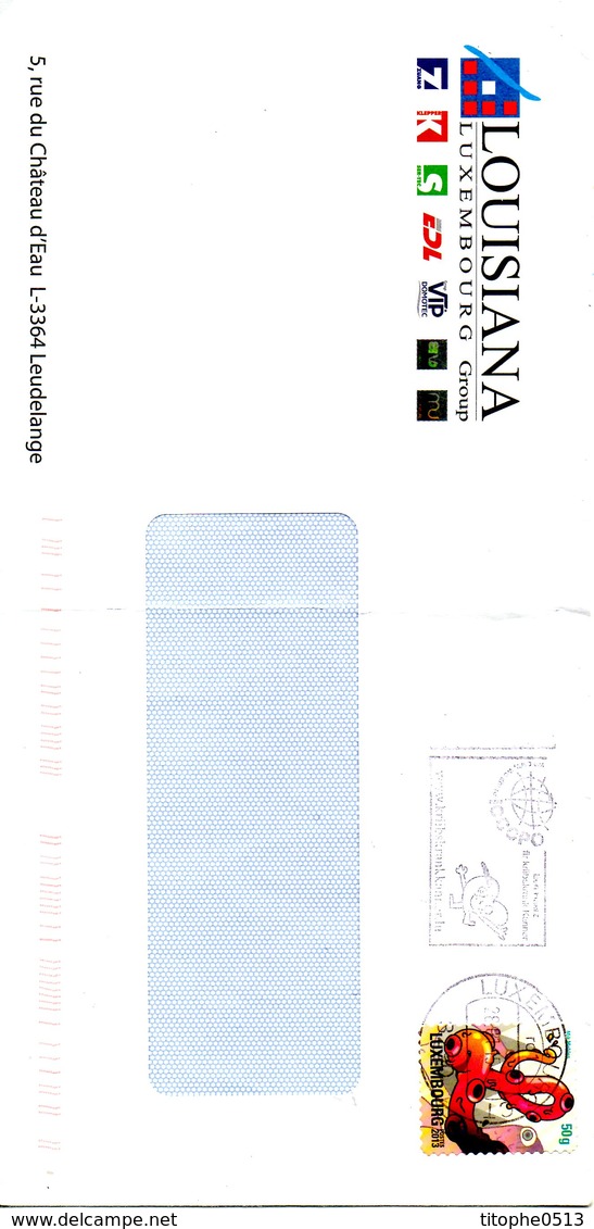 LUXEMBOURG. Timbre De 2013 Sur Enveloppe Ayant Circulé. - Storia Postale