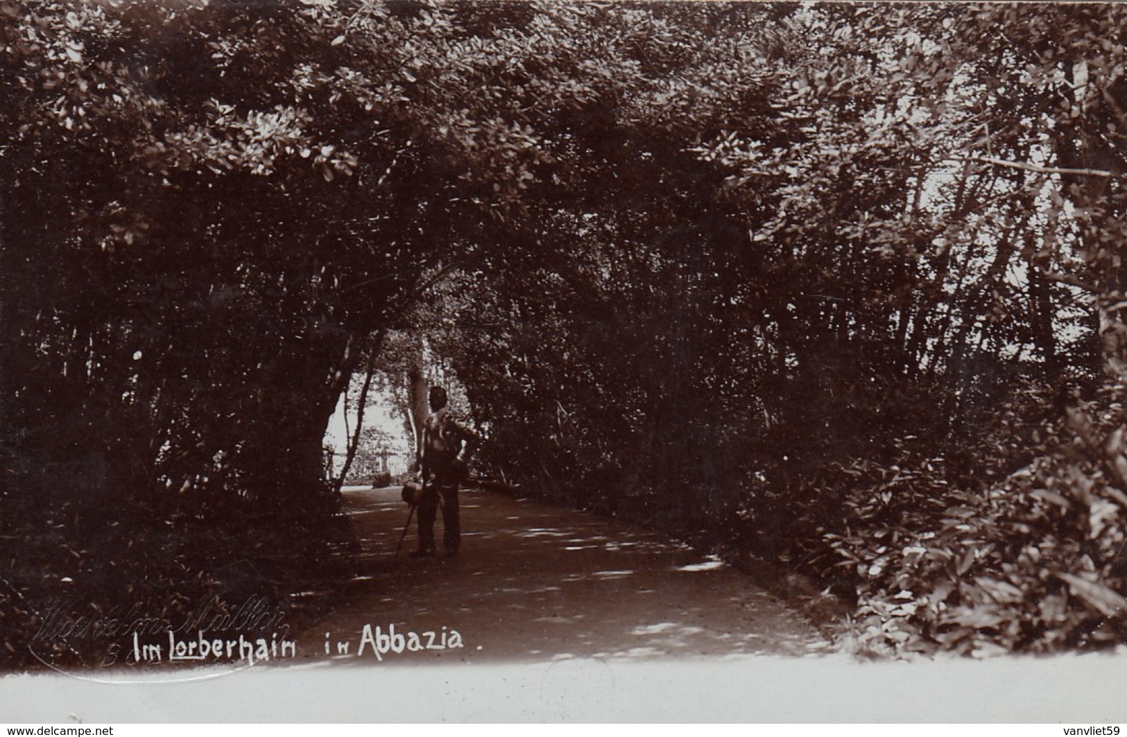 ABBAZIA-IM LORBERHAIM IN ABBAZIA-CARTOLINA VERA FOTOGRAFIA ANNO 1900-1904 - Kroatien