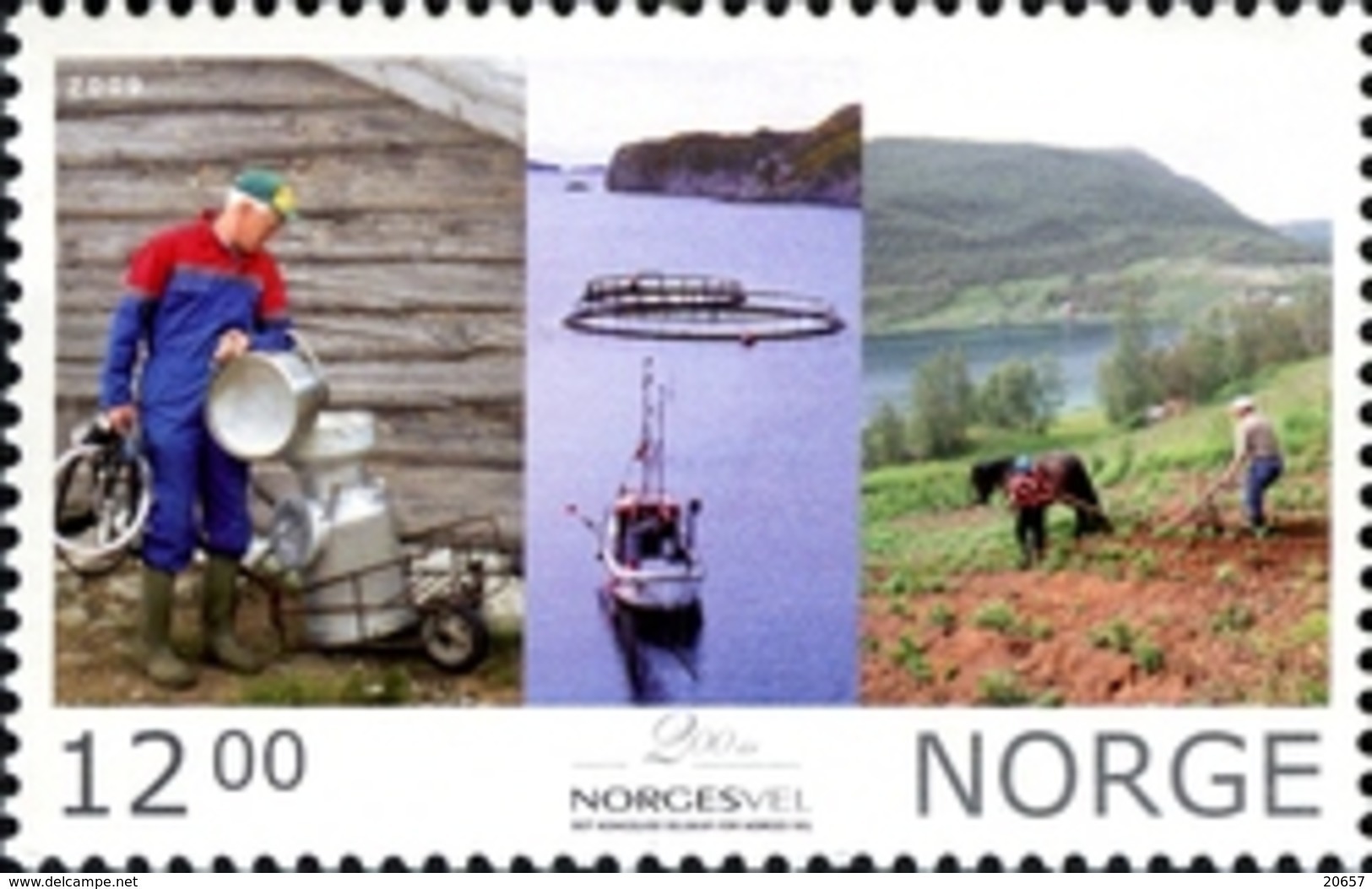 Norvège Norge Norway 1633 Agriculture, Charrue, Cheval, Lait, Poisson - Food