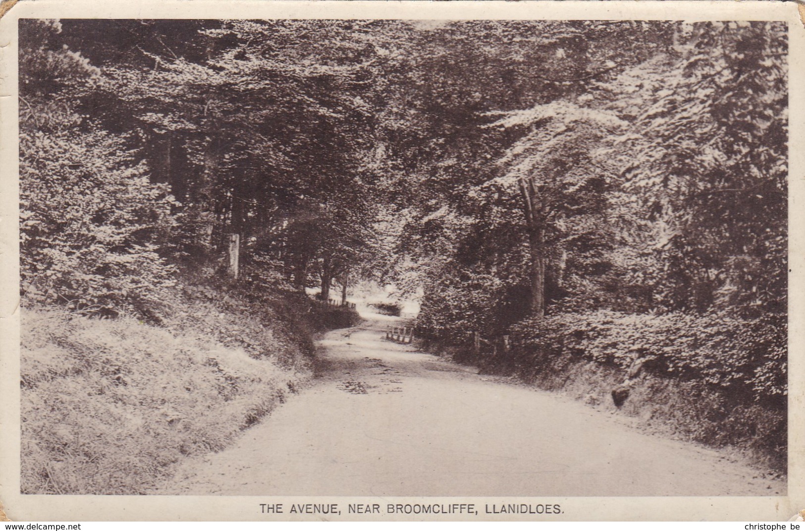 The Avenue Near Broomcliffe, Llanidloes (pk45992) - Montgomeryshire
