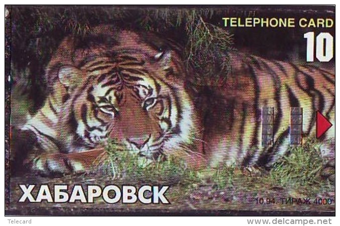 Télécarte  * Animal * TIGRE * TIGER (886)  FELIN *   Phonecard * Telefonkarte * TIJGER - Jungle