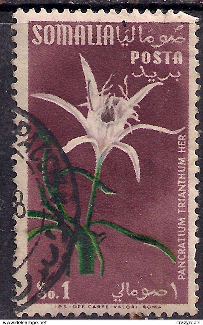 Somalia 1955 1s Flowers Used  SG 289 ( E1062 ) - Somaliland (Protectorate ...-1959)