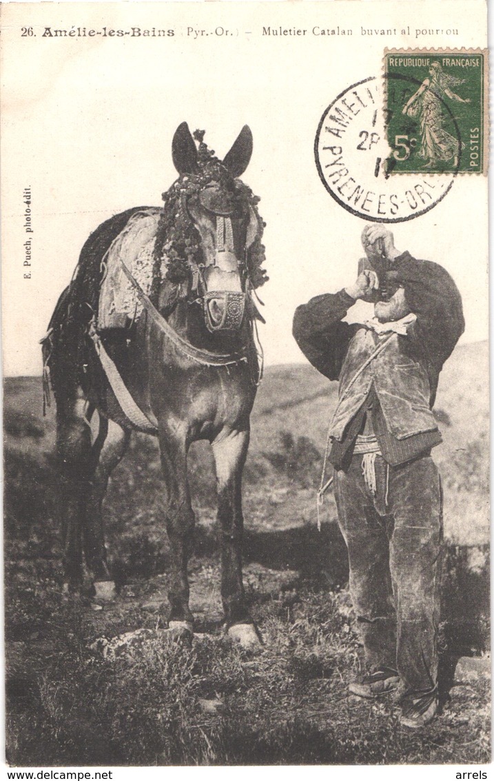 FR66 AMELIE LES BAINS - Puech 26 - Muletier Catalan Buvant à La Régalade - Gros Plan - Animée - Belle - Elevage