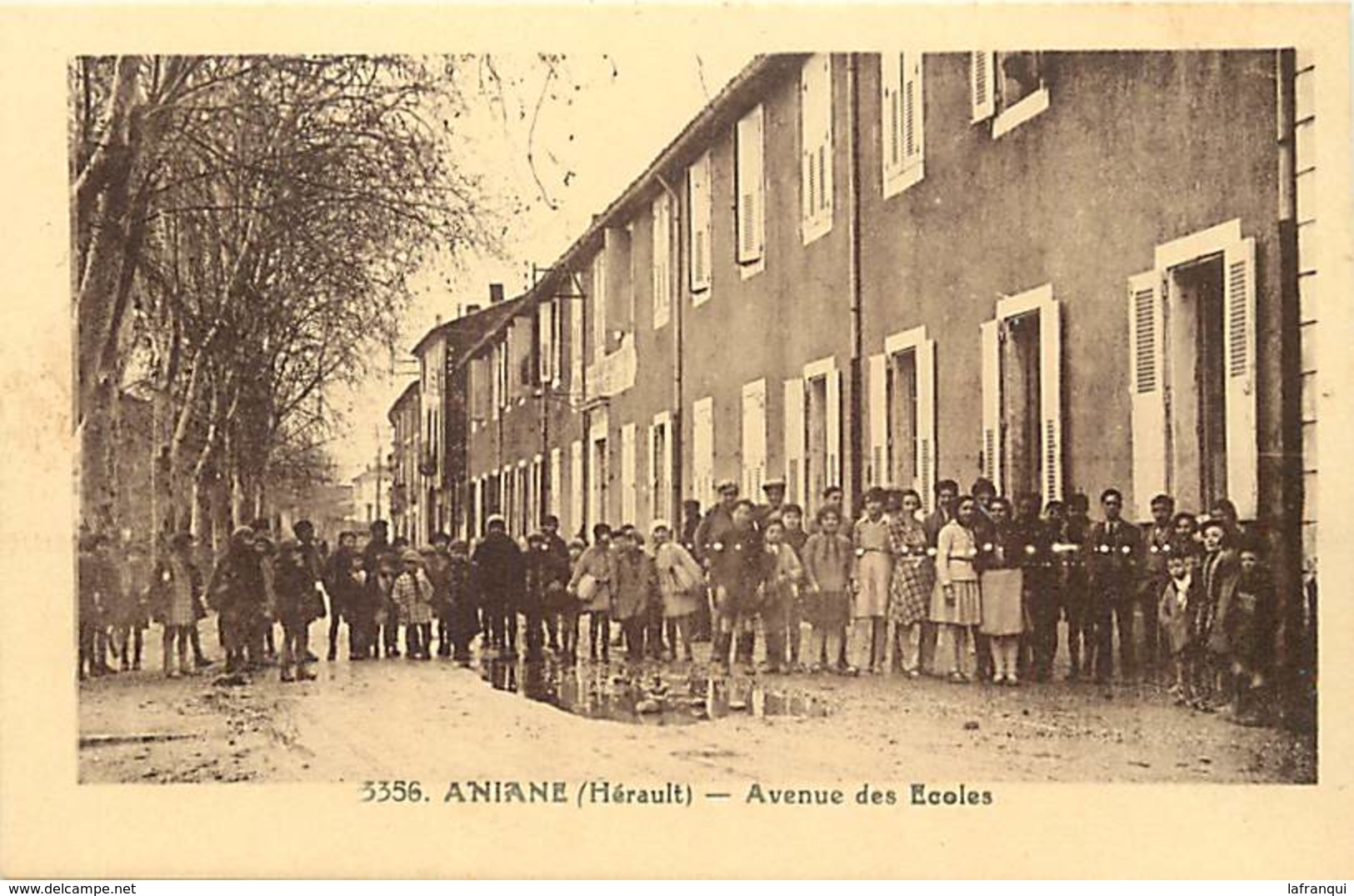 RB - Editeur Riviere Bureau -ref A528- Herault - Aniane - Avenue Des Ecoles  - Carte Bon Etat - - Aniane