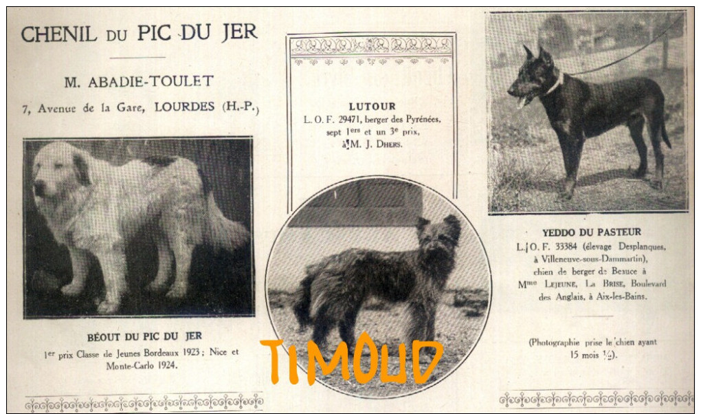 CHENIL DU PIC DU JER / MONTAGNE PYRENEES BERGER DE BEAUCE & PYRENEES / LOURDES / H.P.  / PUB 1925 - Non Classés