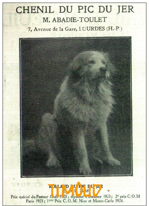 CHENIL DU PIC DU JER / CHIENS DE MONTAGNE DES PYRENEES / M. ABADIE TOULET / LOURDES / H.P.  / PUB 1925 - Non Classés