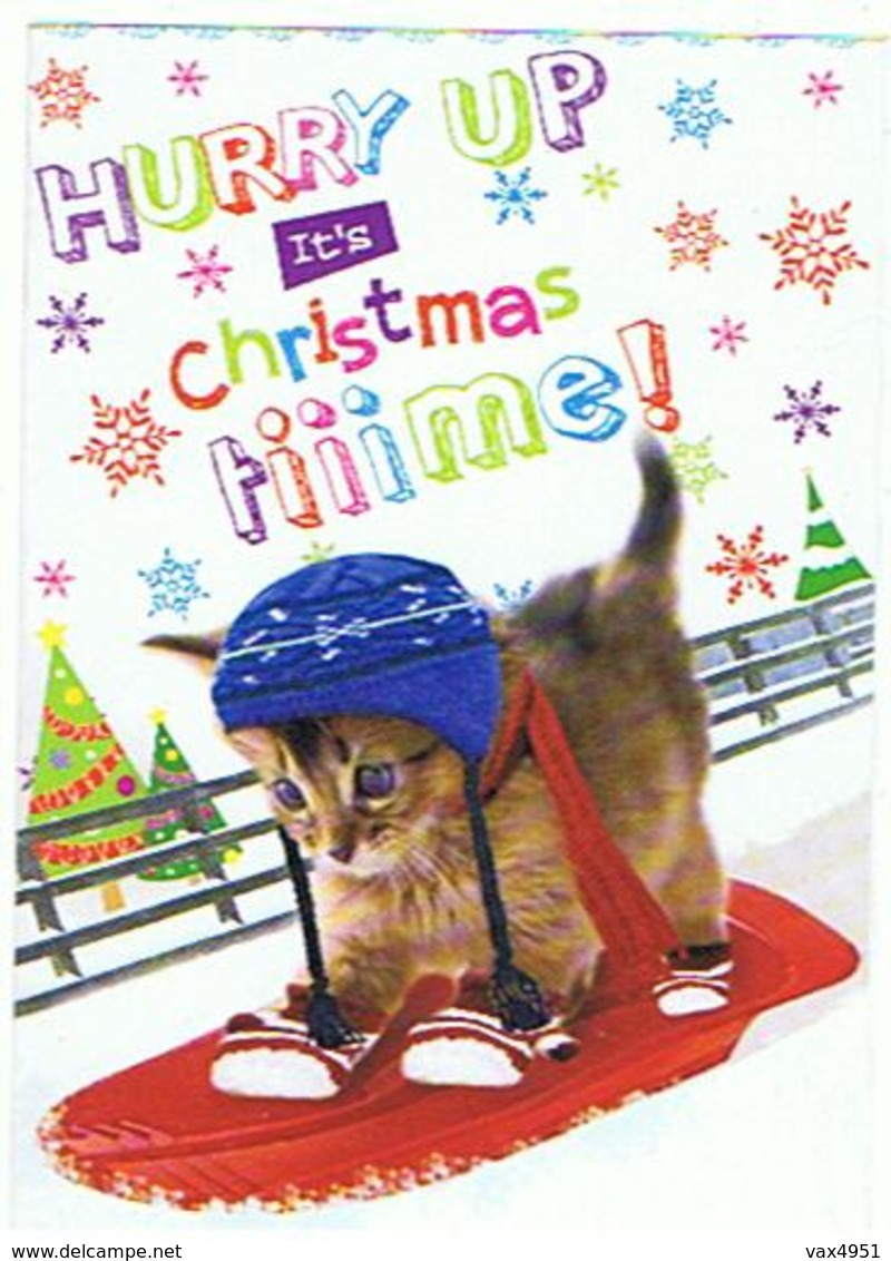 CHATS   HURRY UP  IT S CHRISTMAS TIIIIME  CARTE MERRY CHRISTMAS  ....  ****     A   SAISIR   ***** - Katten