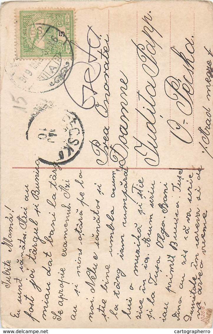 D1287 Tree Romania Postcard 1909 - Bomen