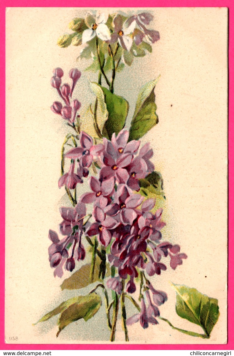 Bouquet De Fleur - Campanules Violettes Et Blanches - Campanule - N° 958 - Blumen