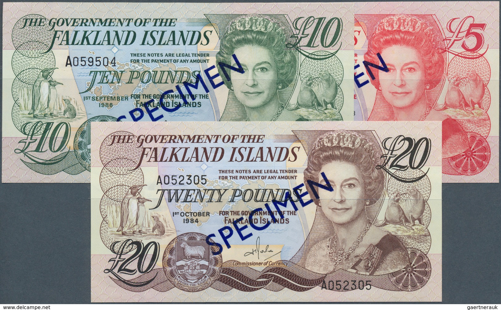 01440 Falkland Islands / Falkland Inseln: Set Of 3 SPECIMEN Banknotes Containing 5 Pounds 1983 P. 12s, 10 - Islas Malvinas