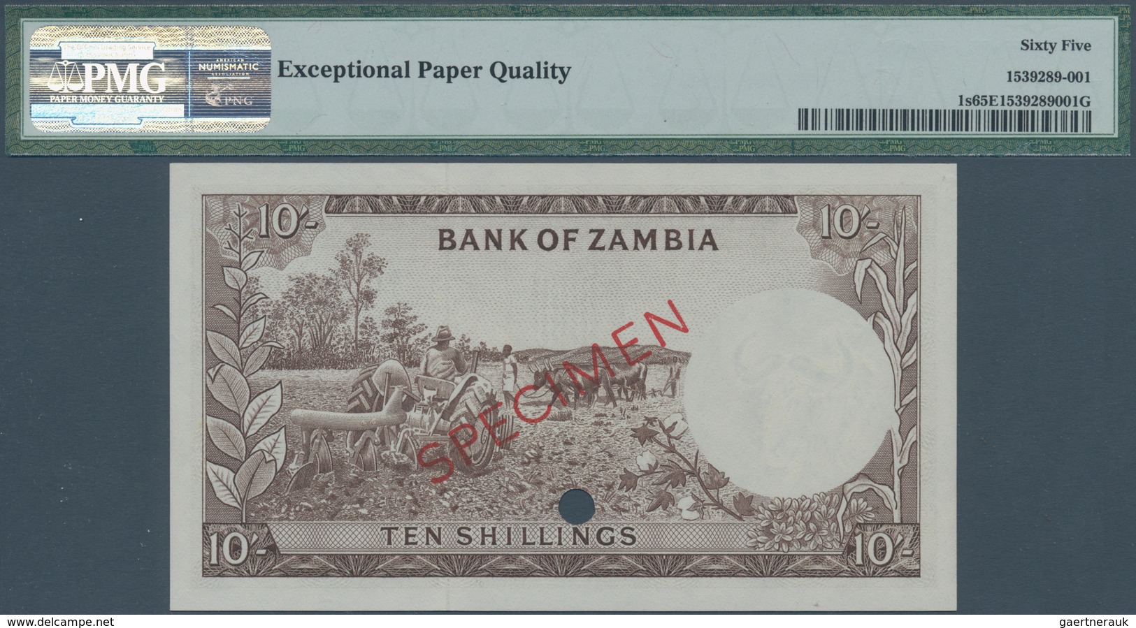 02630 Zambia / Sambia: 10 Shillings ND(1964) SPECIMEN P. 1s In Condition: PMG Graded 65 GEM UNC EPQ. - Zambia