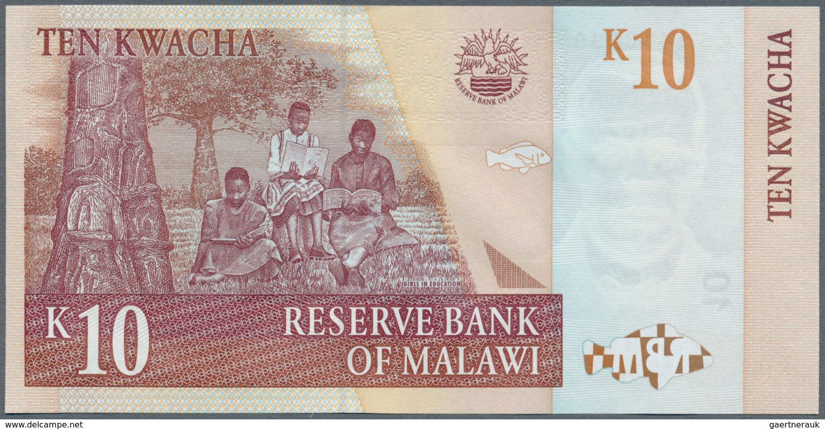 02818 Malawi: 1997/2004 (ca.), Ex Pick 36-51, Quantity Lot With 137 Banknotes In Good To Mixed Quality, So - Malawi