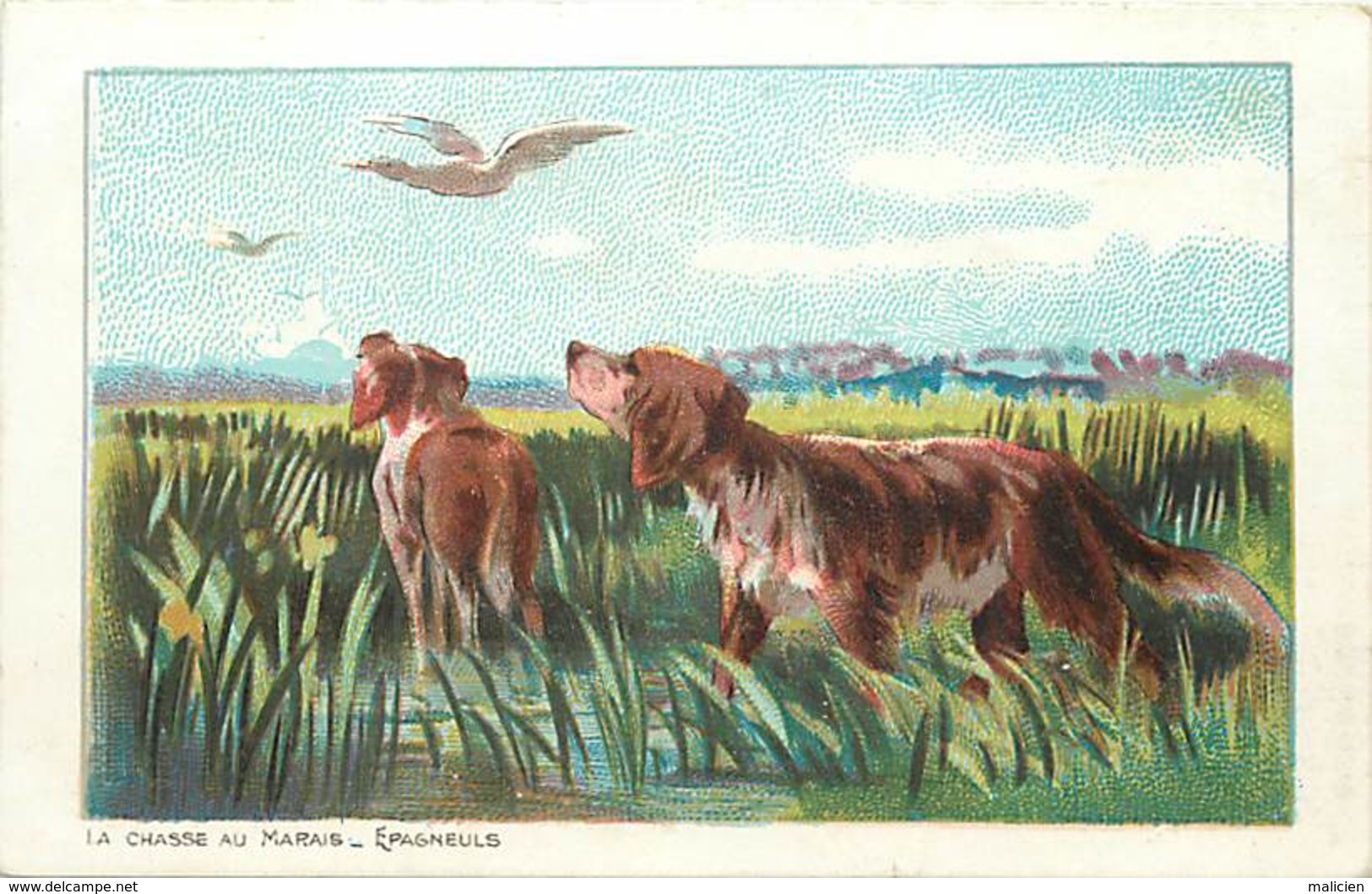 - Thèmes -ref-A575bis- Chasse Au Marais - Marsh Hunting - Epagneuls - Chien - Chiens - Illustrateur - Illustrateurs - - Chasse