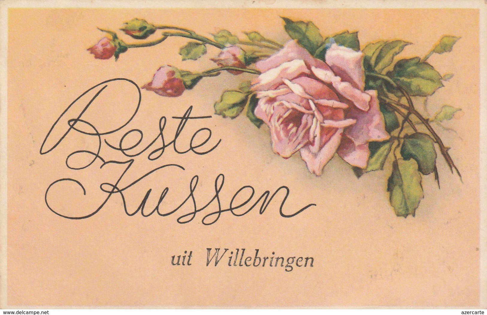 Beste Kussen  Willebringen ,Boutersem - Boutersem